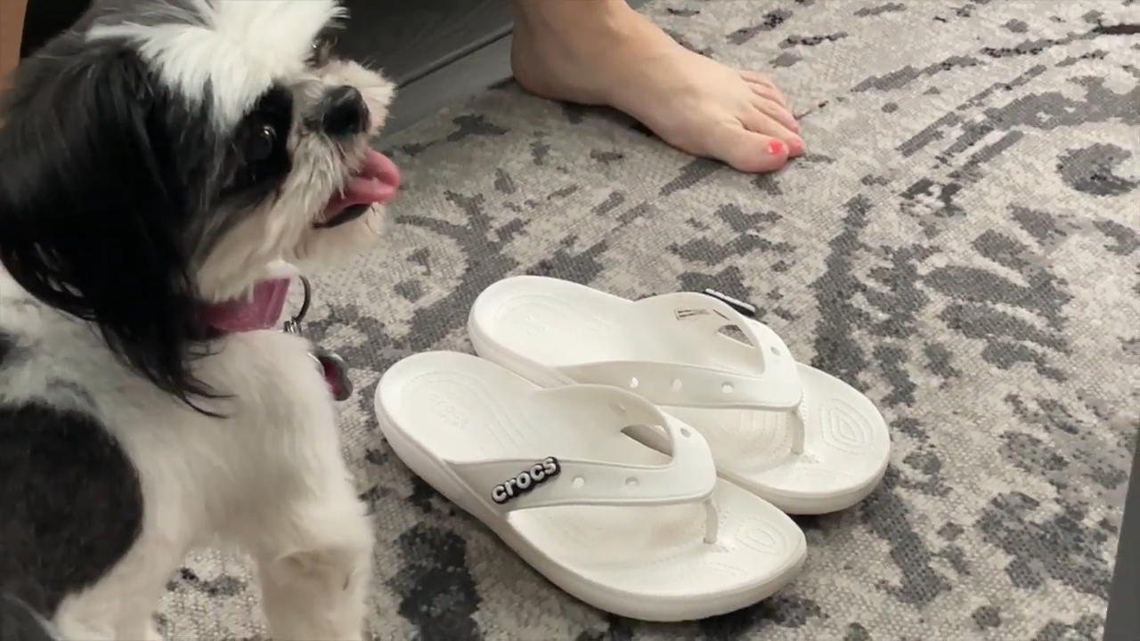 Crocs Unisex Adult Classic V2 Flip Flops Review — photo 1